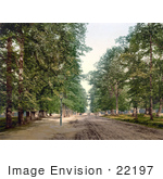 #22197 Historical Stock Photography Of Trees Lining An Avenue In Southampton England