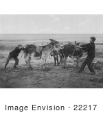 #22217 Historical Stock Photography Of Two Boys Trying To Get A Stubborn Donkey To Move On A Beach England