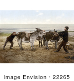 #22265 Historical Stock Photography Of Two Boys Trying To Budge A Stubborn Donkey On A Beach In England