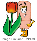 #22459 Clip Art Graphic Of A Bandaid Bandage Cartoon Character With A Red Tulip Flower In The Spring