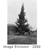 #2282 The National Christmas Tree 1923