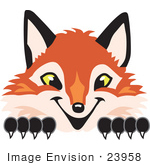 #23958 Clipart Picture Of A Fox Mascot Cartoon Character Peeking Over A Surface