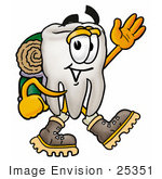 #25351 Clip Art Graphic Of A Human Molar Tooth Character Hiking And Carrying A Backpack