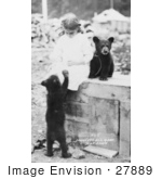 #27889 Historical Stock Photo Of A Chained Bear Cub Sitting On Top Of A Wooden Crate By A Little Girl While Another Cub Stands On Its Hind Legs To Beg For Food