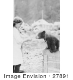#27891 Historical Stock Photo Of A Chained Bear Cub Sitting On Top Of A Wooden Crate Leaning Out To Take A Donut From A Little Girl