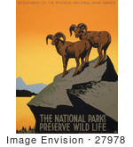#27978 Two Wild Bighorn Sheep (Ovis Canadensis) On A Cliff Overlooking A Lake Surrounded By Mountains Stock Illustration