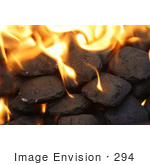 #294 Picture Of Burning Charcoal Briquettes