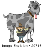 #29716 Clip Art Graphic Of A Proud Cowboy Holding The Leash To His Giant Great Dane Dog