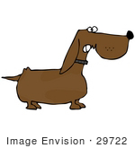 #29722 Clip Art Graphic Of A Little Dachshund Dog Growling While Guarding His Property