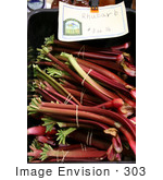 #303 Vegetable Picture Of Fresh Rhubarb