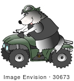 #30673 Clipart Illustration Of A Tough Border Collie Doggy Driving A Green Quad