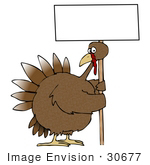 #30677 Clip Art Graphic Of A Turkey Bird On A Farm Holding A Blank White Sign