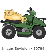 #30794 Clip Art Graphic Of A Lazy Orange Cat Relaxing On The Seat Of A Green Quad