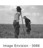 #3086 African American Cotton Sharecroppers