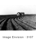 #3107 Tilled Rows