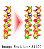#31420 DNA Cloning by Oleksiy Maksymenko
