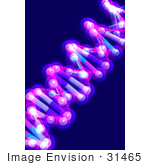 #31465 DNA Double Helix 3D Illustration by Oleksiy Maksymenko