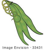 #33431 Clipart Of A Cluster Of Three Bean Pods And A Twisty Vine