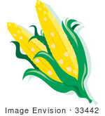 #33442 Clipart Of Double Eared Corn On The Cob
