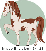 #34128 Clip Art Graphic Of A Brown And White Pinto Horse Prancing
