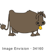 #34160 Clip Art Graphic Of A Lonely Brown Fat Cow Wearing A Gold Bell On A Dairy Farm