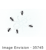 #35745 Clip Art Graphic Of Black Sugar Ants On A Drawing Of An Ant On Graph Paper