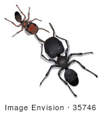#35746 Clip Art Graphic Of A Little Brown Sugar Ant Reporting To A Big Black Ant Leader