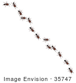 #35747 Clip Art Graphic Of Brown Sugar Ants Invading A Kitchen Crawling In A Line Across A Counter