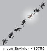 #35755 Clip Art Graphic Of Seven Sugar Ants One Glowing In A Line Invading A Kitchen