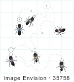 #35758 Clip Art Graphic Of Numbered Black Sugar Ants Wandering Along Trails With Circles And Arrows
