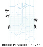 #35763 Clip Art Graphic Of Five Black Sugar Ants Looking At Blueprints