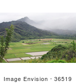 #36519 Stock Photo Of A Scenic View Of Patchwork Fields In Hanalei Valley With Mountains Northern Kauai Hawaii
