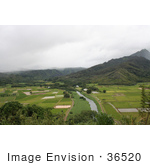 #36520 Stock Photo Of A Scenic View Of Green Hanalei Valley With The Hanalei River Flowing Through It Northern Kauai Hawaii
