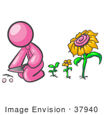 #37940 Clip Art Graphic Of A Pink Guy Character Planting Sunflowers