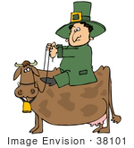 #38101 Clip Art Graphic Of A St Paddy’S Day Leprechaun Riding A Cow