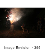 #399 Image Of A Pit Bull Excited By Holiday Fireworks