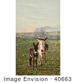 #40663 Stock Photo Of Two Curious Donkeys Staring At The Viewer In A Pasture Colorado