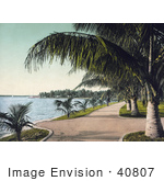 #40807 Stock Photo Of Sidewalks Along The Beach Lined With Palm Trees In Palm Beach Florida