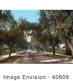 #40809 Stock Photo Of Trees And Sidewalks Along A Dirt Road Marengo Avenue In Pasadena California