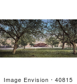 #40815 Stock Photo Of The Lawn And Trees Near The Country Club In Pasadena California