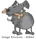 #40843 Clip Art Graphic Of A Grey Dog Guarding A Bone In His Mouth
