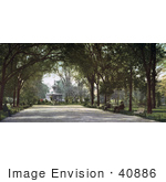 #40886 Stock Photo Of People Sitting On Benches Under A Canopy Of Trees Near The Fountain In Forsyth Park Savannah Georgia