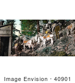 #40901 Stock Photo Of Men And Burros At Silver Mine In Colorado