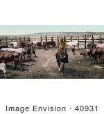 #40931 Stock Photo Of A Cowboy On Horseback Rounding Up The Cattle In A Corral On A Farm In Colorado