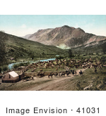 #41031 Stock Photo Of Cowboys Rounding Up Cattle Along The Cimarron River Colorado
