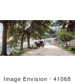 #41068 Stock Photo Of A Horse Pulling A Carriage On Bay Shell Road In Mobile Alabama