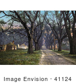 #41124 Stock Photo Of A Tree Lined Dirt Road Through The Hermitage In Savannah Georgia