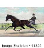 #41320 Stock Illustration Of A Horse Champion Pacer Johnston By Bashaw Golddust Raced By Peter V Johnston