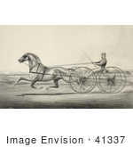 #41337 Stock Illustration Of A Harness Racer Driving A Trotting Horse