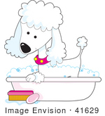 #41629 Clip Art Graphic Of A Bathing White Poodle In A Tub